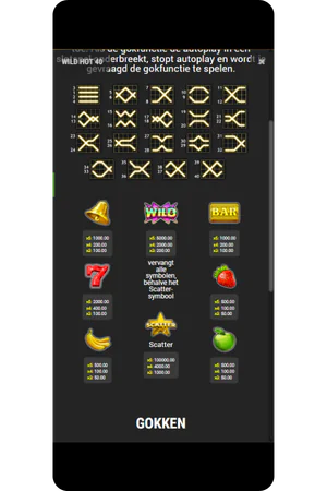 Symbolen uitbetalingstabel Wild Hot 40 slot