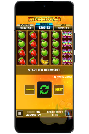 Wild Hot 40 spelen casino interface