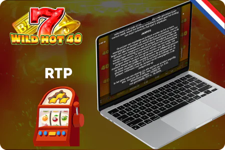 RTP volatiliteit winstpotentieel Wild Hot 40